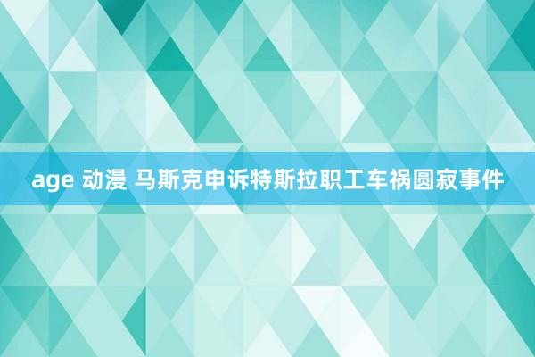 age 动漫 马斯克申诉特斯拉职工车祸圆寂事件